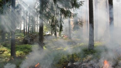 fireland